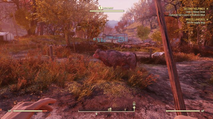 Brahmins arent dangerous and they dont deal any damage. - Second Helpings - Fallout 76 Walkthrough - Main missions - Fallout 76 Guide