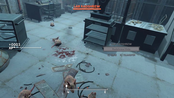 After getting out of the capsule in the first Broken Angel quest you won't find any weapons anywhere in the area - there are no melee weapons or firearms in the laboratory - Fallout London: How to get your first weapon? - Fallout: London: Equipment - Fallout London Guide