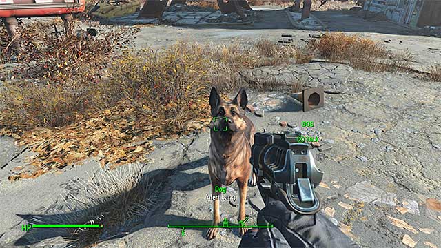Find the dog and talk to the animal - Fallout 4: How to add Dogmeat as a companion? - FAQ - Fallout 4 Game Guide & Walkthrough
