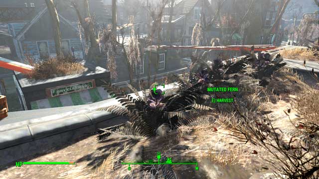 Mutated fern on the rooftop of a building - Fallout 4: Smaller quests in Diamond City - Side quests in Diamond City - Fallout 4 Game Guide & Walkthrough