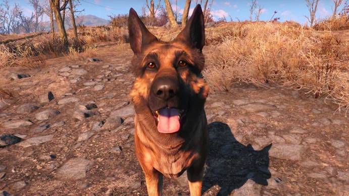 This modification can be installed via Nexus Mod Manager or manually - Everyones Best Friend - Dogmeat always by your side | Mods for Fallout 4 - The best mods - Fallout 4 Game Guide & Walkthrough
