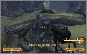 Now you have to collect fire gecko eggs - Bleed Me Dry - Side quests - Fallout: New Vegas - Game Guide and Walkthrough