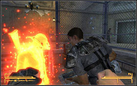 5 - Birds of a Feather - Side quests - Fallout: New Vegas - Game Guide and Walkthrough