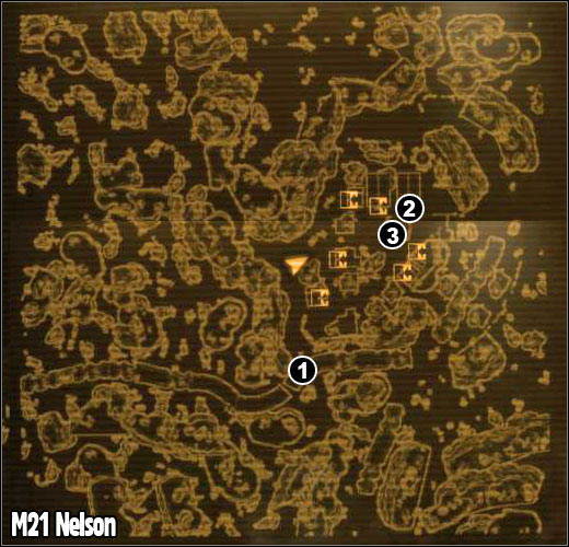 1 - M21 - Nelson - Maps - Fallout: New Vegas - Game Guide and Walkthrough