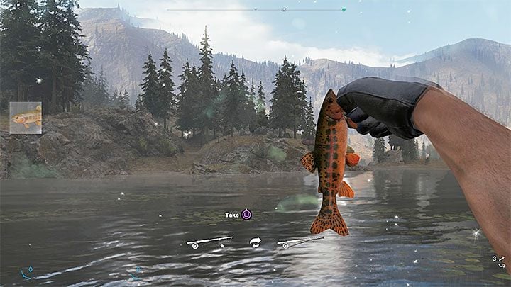 In the Whitetail Mountains region, you will catch fish such as the Arctic Grayling Salmon, Chinook Salmon, or Kokanee Salmon - Fish and fishing spots in Whitetail Mountains - Map - Fish and fishing spots - Far Cry 5 Game Guide