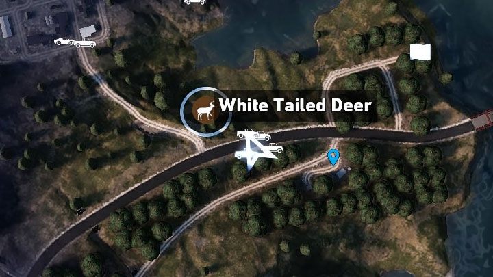 Find a hunting spot before you start hunting - Hunting wild animals in Far Cry 5 - Guidebook - Far Cry 5 Game Guide