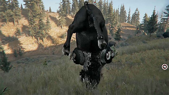 Take the drug, find a bison and kill it with one (or two) hits (see the picture) - Ignoble Beasts (how to kill a bison with a melee weapon) in Far Cry 5 - Achievements and trophies - Far Cry 5 Game Guide