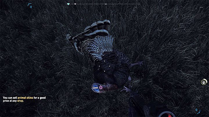Once you find a turkey, keep safe distance - How to kill a turkey in Far Cry 5? - FAQ - Far Cry 5 Game Guide