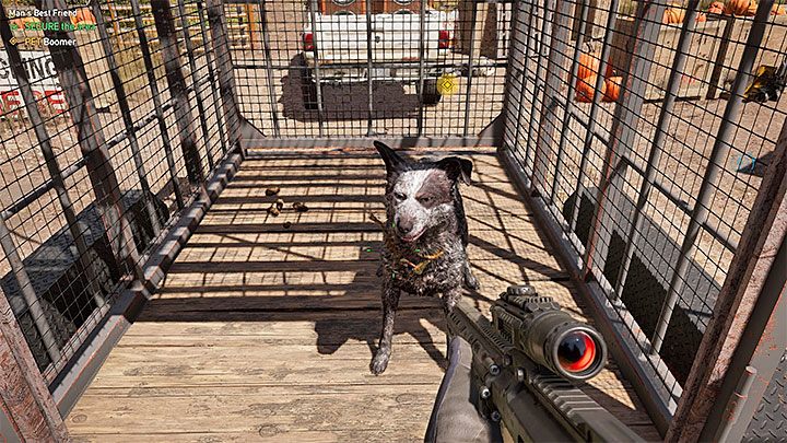 You dont have to explore the world alone if you dont play with other players - Starting tips for Far Cry 5 - Guidebook - Far Cry 5 Game Guide