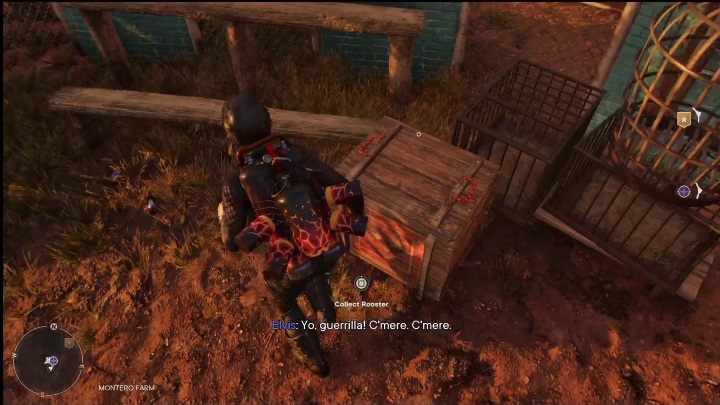 You'll find the rooster box in your camp, right next to the Cockfighting arena - Far Cry 6: Roosters - list, locations - Other - Far Cry 6 Guide