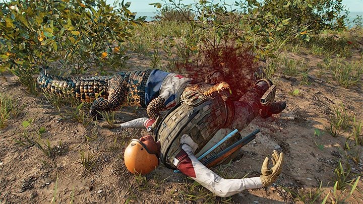 Guapo is a combat Amigo, which makes him perfect for attacking opponents - Far Cry 6: Guapo - Amigo - Amigos - pets - Far Cry 6 Guide