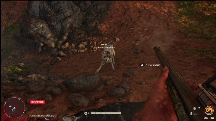 White Demoníaco lives in the forest, along with other wolves - Far Cry 6: White Demoníaco - location, how to defeat the mythical animal? - Mythical animals - Far Cry 6 Guide