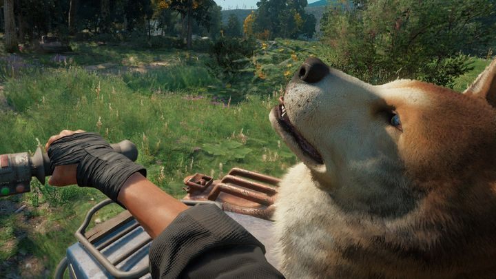 Commentary: After unlocking the dog Timber as a gun for hire, you must drive with him for five minutes in the sidecar - Trophies and Achievements in Far Cry New Dawn - Achievements - Far Cry New Dawn Guide
