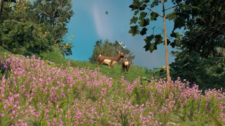 For the purposes of this chapter, the game has been marked with a red colour, the fish with a blue colour, and the birds with a green colour - Game & Fish - World Atlas - Far Cry New Dawn Guide