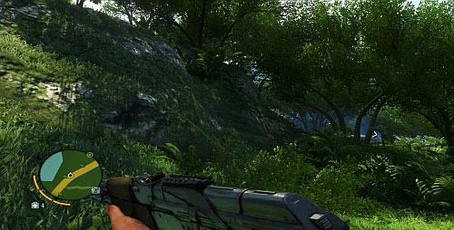 Go now towards the south-most marker - Faces of Death - Plot missions - Far Cry 3 - Game Guide and Walkthrough