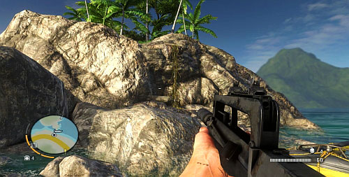 In the southern part of the peninsula, there is a vine that you need to take to reach higher - The Northern Island - Northern part - Cult Objects - Far Cry 3 - Game Guide and Walkthrough