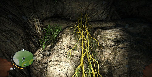Jump over the large hole in the ground, or swim under the rocky platform if you've fallen into water, and climb up the vine - The Northern Island - North-eastern part - Cult Objects - Far Cry 3 - Game Guide and Walkthrough