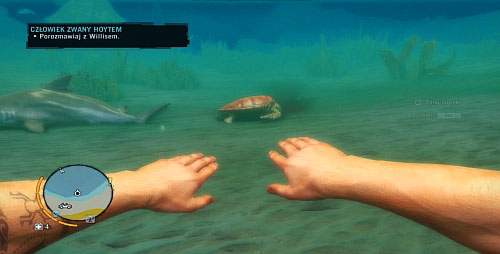 As far as hunting sea animals is concerned, you need to use boat and swim out to the areas in which these animals live - Hunting - Far Cry 3 - Game Guide and Walkthrough