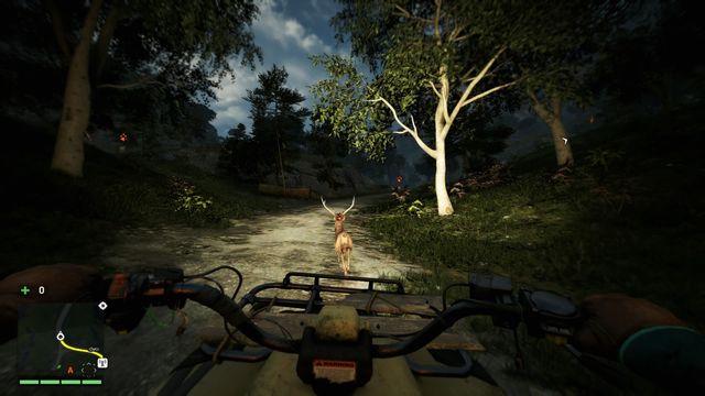 If you cant catch a running animal you can just run over it and then exit your vehicle and without any problem take the carcasss skin. - Hunting - The Basics - Far Cry 4 - Game Guide and Walkthrough