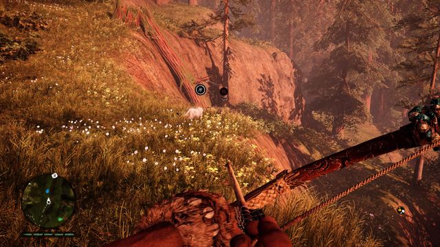 Fast predators make hunting easier. They will easily catch up to escaping prey. - How to tame animals? - Questions and answers - Far Cry Primal - Game Guide and Walkthrough