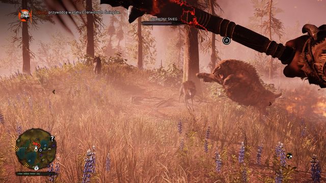 A sabretooth tiger definitely makes eliminating enemies easier. - Snowblood Wolves - Beast Master Hunts - Far Cry Primal - Game Guide and Walkthrough