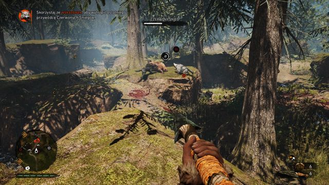 When your animal fights the leader, throw projectiles from a distance. - Snowblood Wolves - Beast Master Hunts - Far Cry Primal - Game Guide and Walkthrough