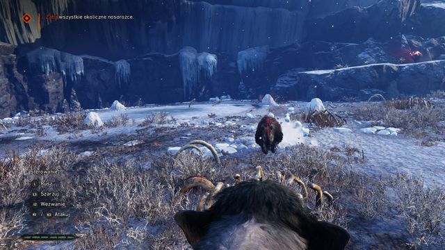 Dodge the charge or counter it, - Duel of Beasts - Legend of the Mammoth - Far Cry Primal - Game Guide and Walkthrough