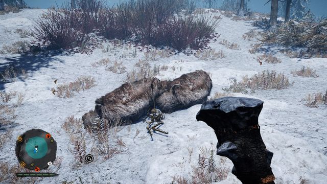 Near the center of the search area, by the skeleton pierced with an arrow - Wenja bracelets - Northern Oros - Far Cry Primal - Game Guide and Walkthrough