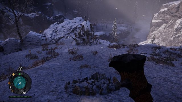 On the ground, in the center of the search area - Wenja bracelets - Northern Oros - Far Cry Primal - Game Guide and Walkthrough