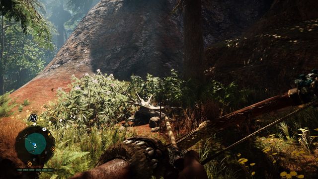 At the bottom of the rock massif, under one of the tall trees - Wenja bracelets - Central Oros - Far Cry Primal - Game Guide and Walkthrough