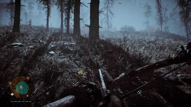 Look for a small bracelet, close to the center of the search area - Wenja bracelets - Central Oros - Far Cry Primal - Game Guide and Walkthrough