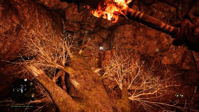 Right after you find the cave painting #12 you will follow the footprints to a room where you have to get to the other side with the grappling claw - Daysha Hands - Southern Oros - Far Cry Primal - Game Guide and Walkthrough