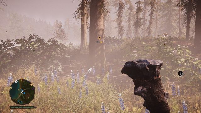 By a tree, near the lakeside - Daysha Hands - Southern Oros - Far Cry Primal - Game Guide and Walkthrough