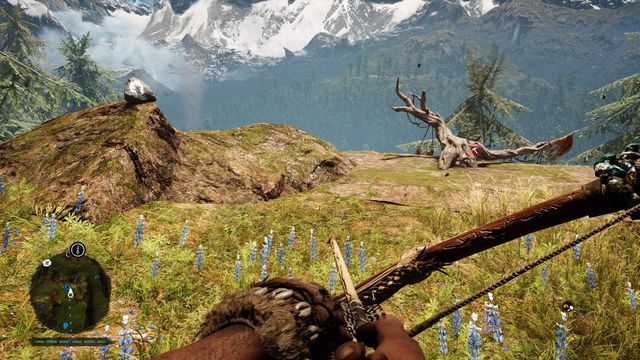 On a rock, right next to a claw point - Daysha Hands - Southern Oros - Far Cry Primal - Game Guide and Walkthrough