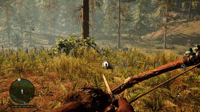 In the center of the island - Daysha Hands - Southern Oros - Far Cry Primal - Game Guide and Walkthrough
