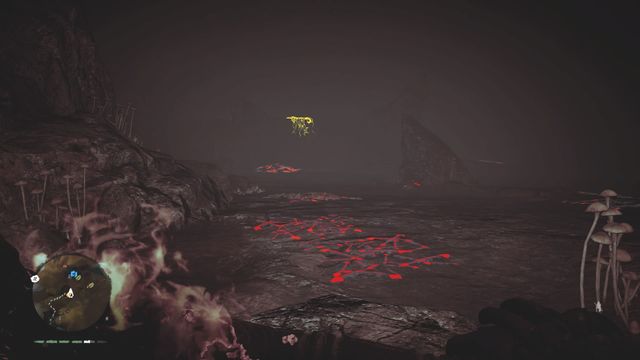 You will find footprints that will lead you to the cache - Hunter caches - Far Cry Primal - Game Guide and Walkthrough