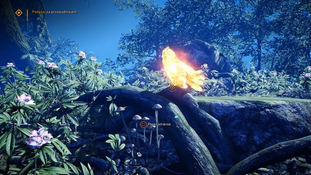 Approach the owl to tame it. - Vision of Beasts - Walkthrough - Far Cry Primal - Game Guide and Walkthrough