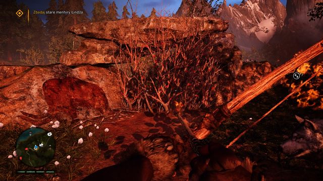 Burn the bushes and look in between the rocks. - The Blood of Oros - Walkthrough - Far Cry Primal - Game Guide and Walkthrough