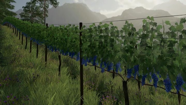 Olives and grapes belong to production chains - Farming Simulator 22: Fruit-growing - Farming Simulator 22: Orchards & greenhouses - Farming Simulator 22 Guide