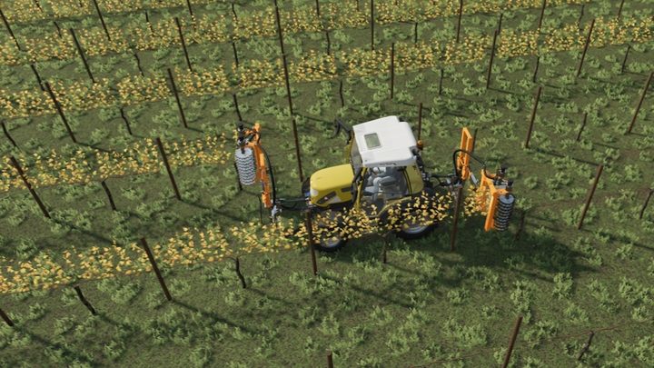 Grapes, however, require removing the dried leaves and branches after harvesting the fruits - Farming Simulator 22: Fruit-growing - Farming Simulator 22: Orchards & greenhouses - Farming Simulator 22 Guide