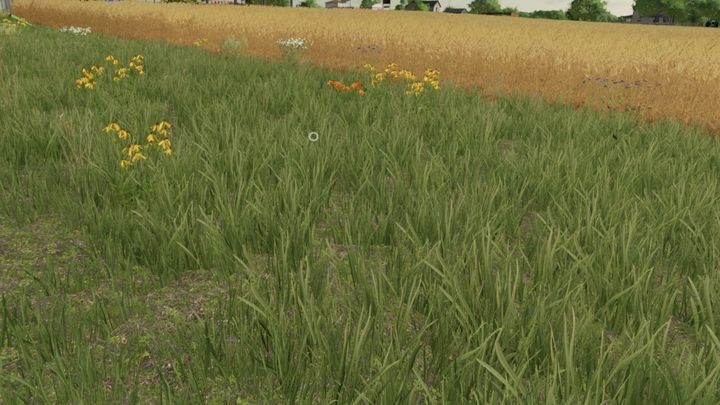 A critical solution which also significantly affects the game's performance is completely turning off the shadows for plants: grass and bushes (trees will still cast them) - Farming simulator 22: How to fix flickering shadows? - Farming Simulator 22: FAQ - Farming Simulator 22 Guide