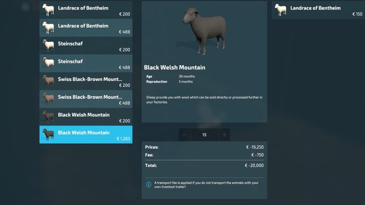 Sheep, like any animal, have their own performance and age-dependent requirements - Farming Simulator 22: Sheep - breeding, tips - Farming Simulator 22: Breeding - Farming Simulator 22 Guide