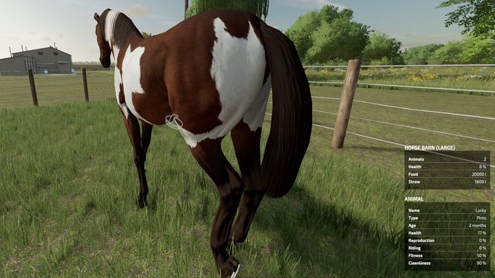 After riding, the horse is dirty - the parameter responsible for this is called Cleanliness - Farming Simulator 22: Horses - breeding, tips - Farming Simulator 22: Breeding - Farming Simulator 22 Guide