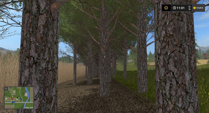 Youll find a nice forest after a few days. - Planting Trees and Poplars - Forestry basics - Farming Simulator 17 Game Guide