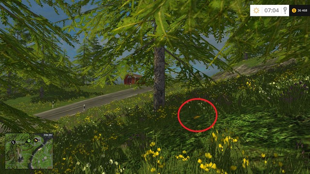 The coin is located near the road, between two trees - Section A - coins 1 - 12 - Gold Coins - Farming Simulator 15 Game Guide