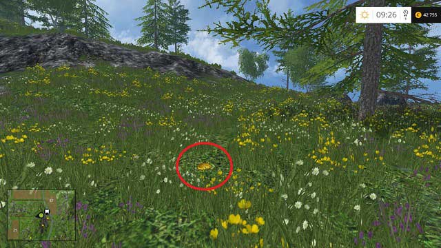 In the grass, near a tree - Section D - coins 45 - 54 - Gold Coins - Farming Simulator 15 Game Guide