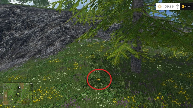 In the grass, right next to a tree - Section D - coins 45 - 54 - Gold Coins - Farming Simulator 15 Game Guide
