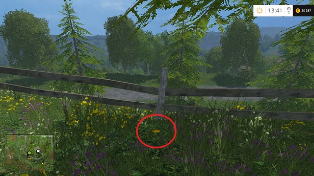 Right next to the fence - Section F - coins 70 - 89 - Gold Coins - Farming Simulator 15 Game Guide