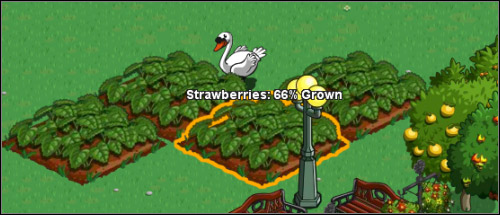 Moving the cursor over the field shows us the current phase of the crop - Crops - Farm management - FarmVille - Game Guide and Walkthrough