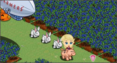 Berries wait to be harvested. - Crops - Farm management - FarmVille - Game Guide and Walkthrough